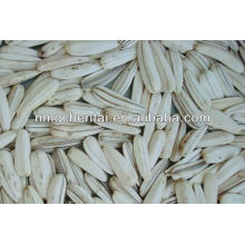 Hot Sell White Sunflower Seeds(22/64) China